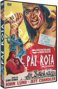 The Battle at Apache Pass (DVD)